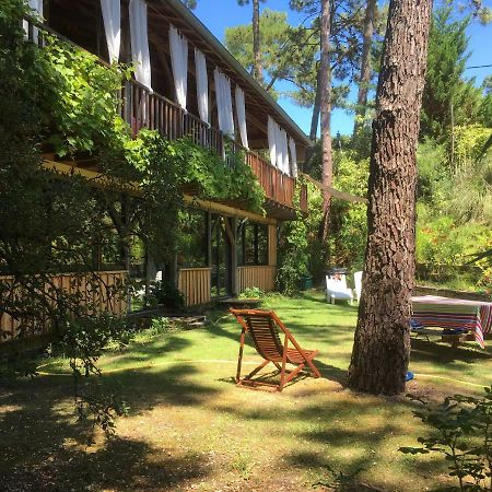 La Maison Face Au Port Lege-Cap-Ferret Ngoại thất bức ảnh