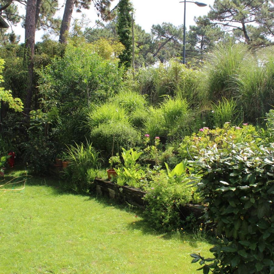La Maison Face Au Port Lege-Cap-Ferret Ngoại thất bức ảnh