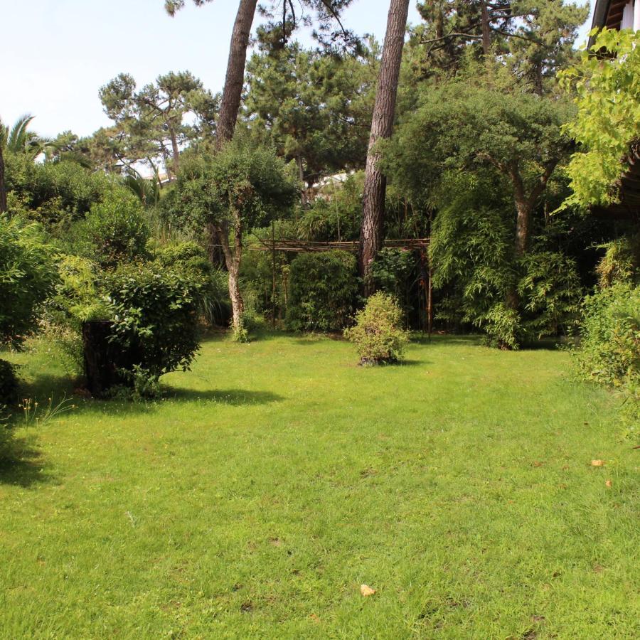 La Maison Face Au Port Lege-Cap-Ferret Ngoại thất bức ảnh