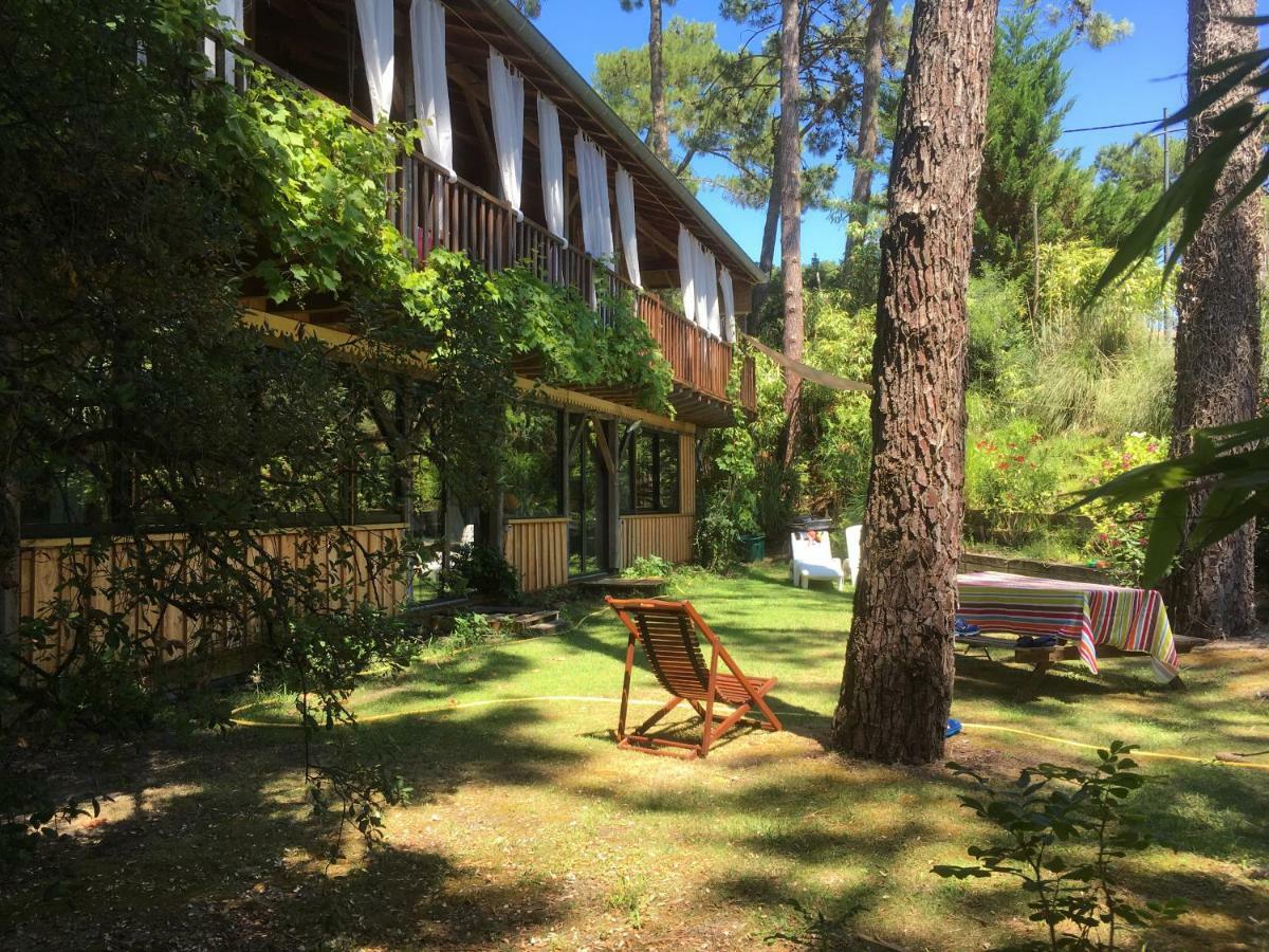 La Maison Face Au Port Lege-Cap-Ferret Ngoại thất bức ảnh